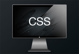 css-display